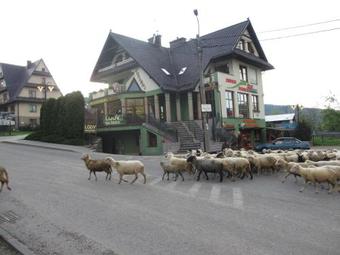 Hostal Mylak