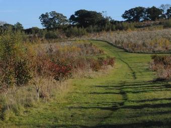 Oak Cottage, Wareham