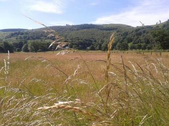 Agroturismo Bethania