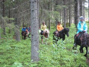 Agroturismo Paimentupa