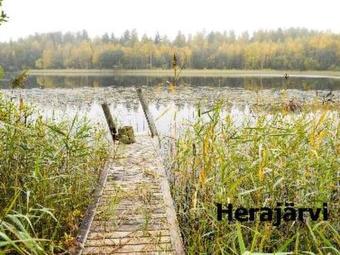 Holiday Home Mets�l�