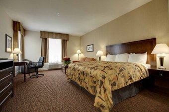 Hotel Comfort Inn & Suites