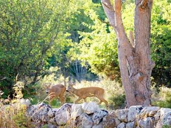 Holiday Home H�lleviksstrand II