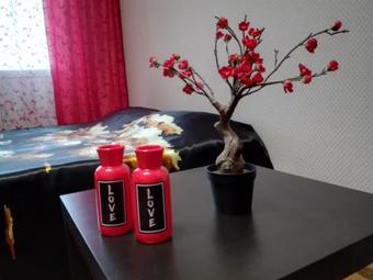 Apartment Japan On Kosmonavtov