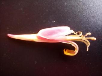 Hotel Posada La Caba�a