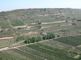 Bed & Breakfast Weingut Und G�stehaus Berger