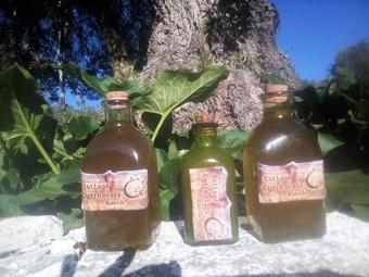 Agroturismo Rancho Cottage Cuernavaca