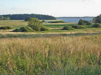 Apartamento Ferienwohnung In Gustow