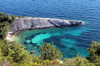 Apartment Uvala Zarace (dubovica) 8781a