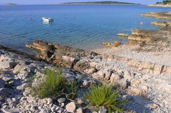 Seaside Family Friendly House With A Swimming Pool Cove Pernatice Bay - Pernatice (drvenik) - 11590