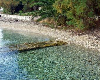 Apartments By The Sea Viganj (peljesac) - 633