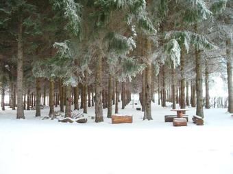 Hostal Guest House ?umski Dvor