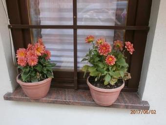 Apartment Samobor 12869a