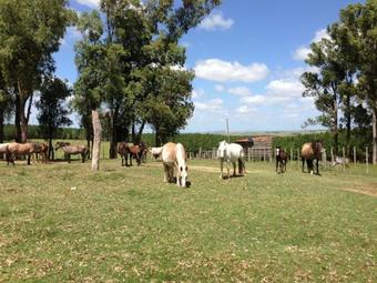 Lodge Estancia Pinos De La Quebrada