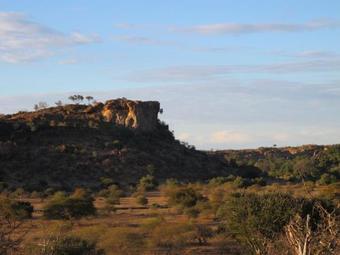 Molema Bush Camp