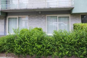 Apartamento Casa Verde III