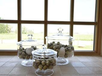 Stunning Holiday Home In Diksmuide With Terrace