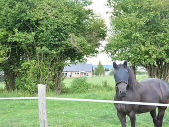 Modern Villa In Rochefort Near River