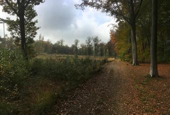 Bed & Breakfast Villa Helena