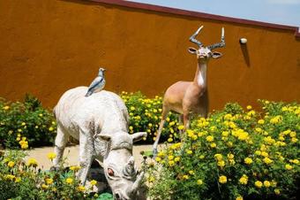 Tropical Suites Hotel