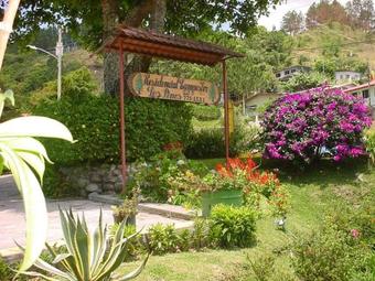 Aparthotel Los Pinos