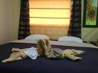 Hostal Bambito�s Caf� & Hostel