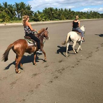 Albergue Johnny Fiestas