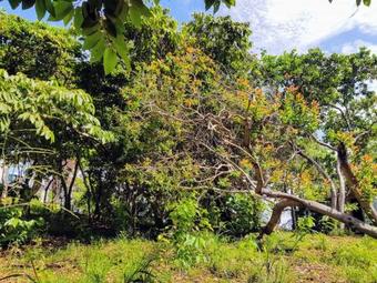 Isla Torta - Ganze Insel Mieten