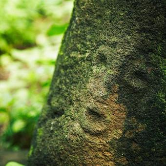 Hotel Mancarron-solentiname