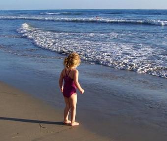 Luxury Beachfront Home