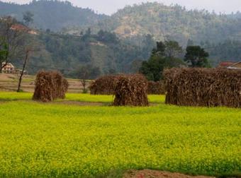 Balthali Homestay