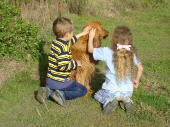 Hostal R�quira Silvestre Lodge