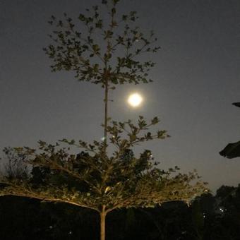 Albergue Cottage House