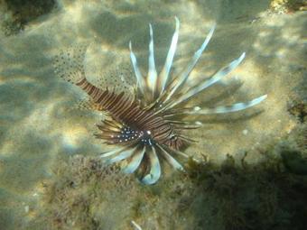 Zona Braza Beach Lodge