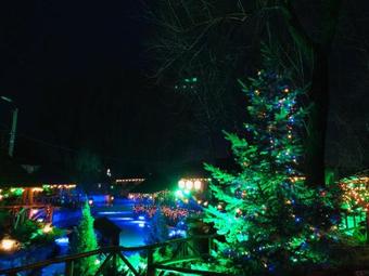 Lodge Pensiune Turistic? "hanul Lui Vasile"