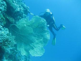 Hotel Adaaran Club Rannalhi