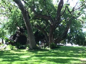 Lodge Wheelhouse Marina