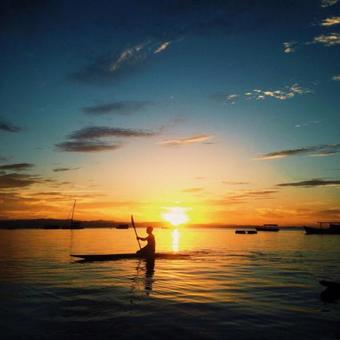 Albergue The Funky Cichlid