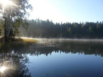 Br?vdienu M?ja Ezerl??i