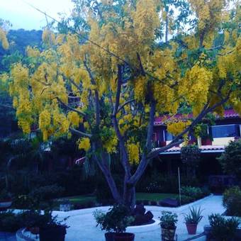 Bed & Breakfast Casa De La Abuela