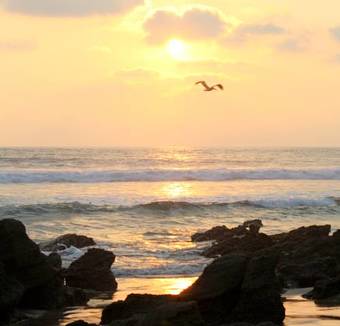 Hotel Present Moment Retreat