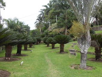 Hotel Santa Luisa Finca-resort