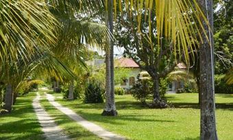 Hostal Cozy Coco Guest House