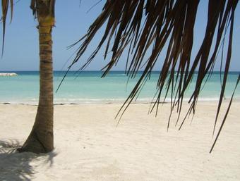 Hotel Grand Palladium Lady Hamilton Resort & Spa All Inclusive