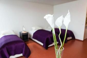 Hotel H�tel Bifr�st