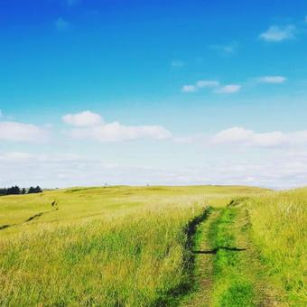 Traustholtsh�lmi - Yurt On A Private Island