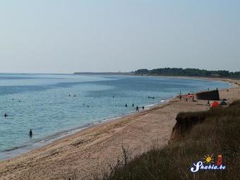 Hostal Guest House Viola