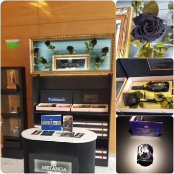 Merit Grand Mosta Spa Hotel & Casino