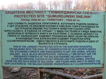 Hotel Veykata Resort