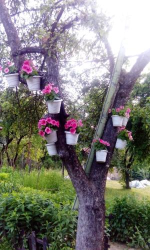 Guest House Lazar Raykov